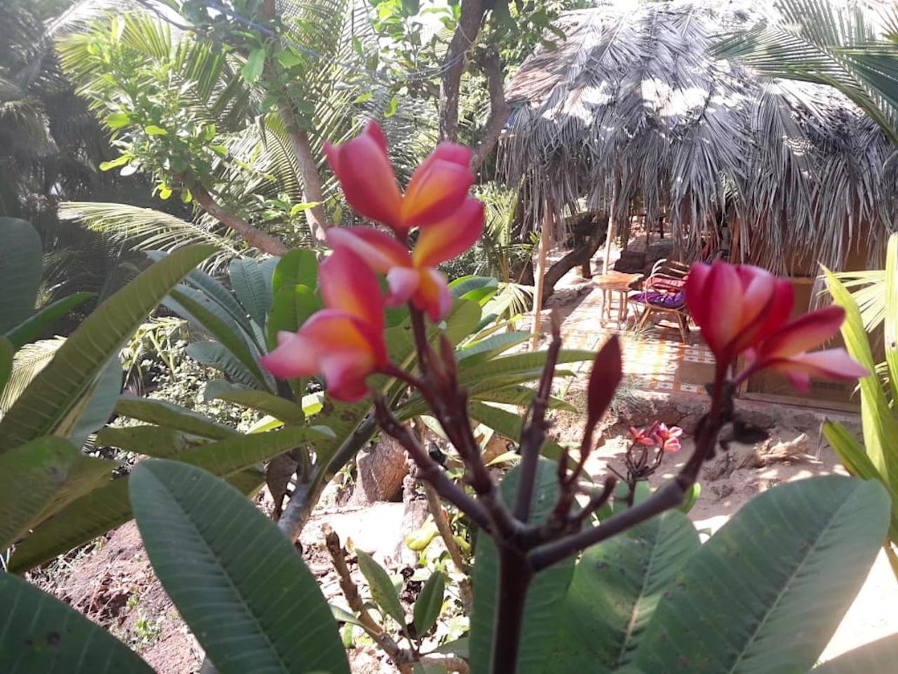 Blue Lagoon Resort Goa Cola Luaran gambar